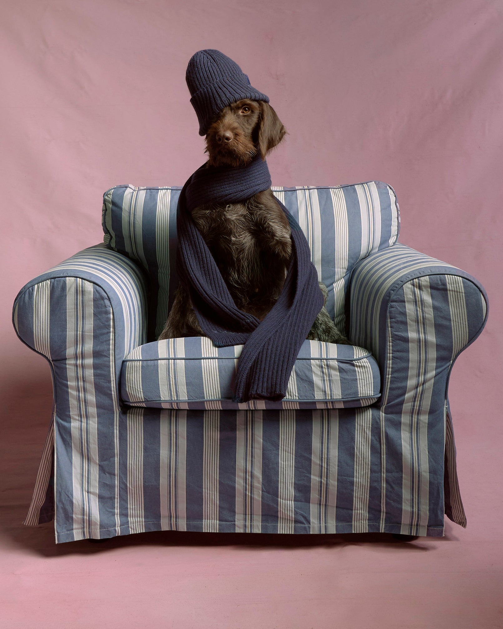 Ruslan Baginskiy image