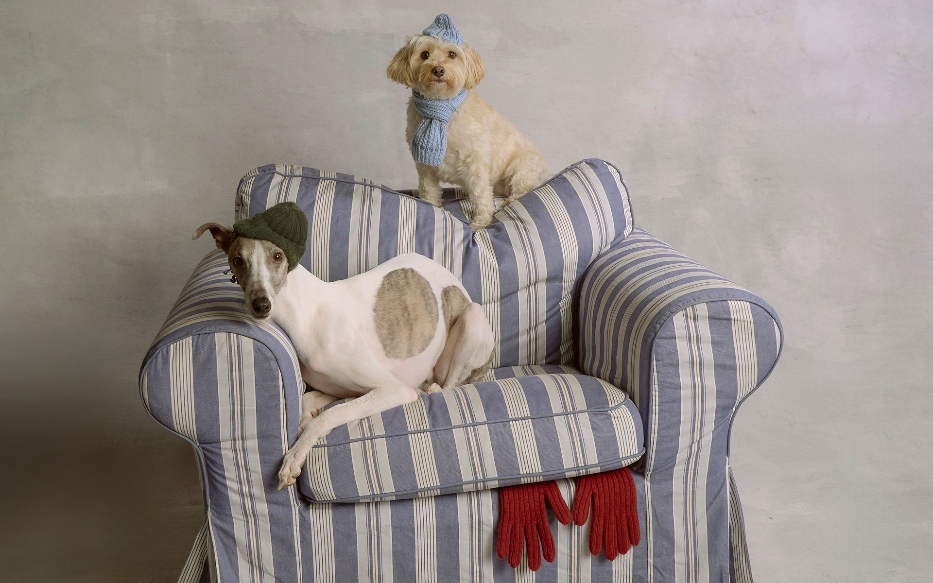 Ruslan Baginskiy image