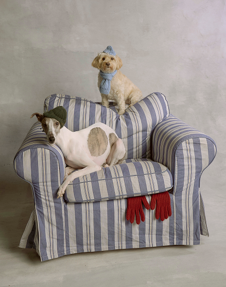 Ruslan Baginskiy image