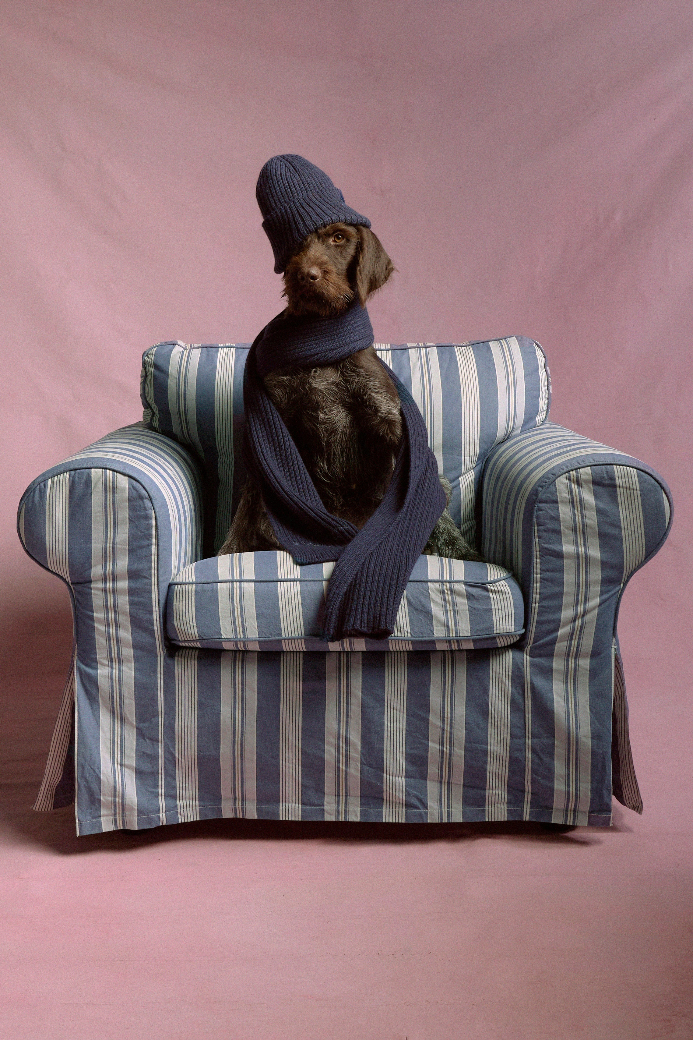 Ruslan Baginskiy image